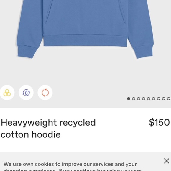 NWOT- Pangaia Heavyweight Cotton Hoodie - Picture 6 of 7